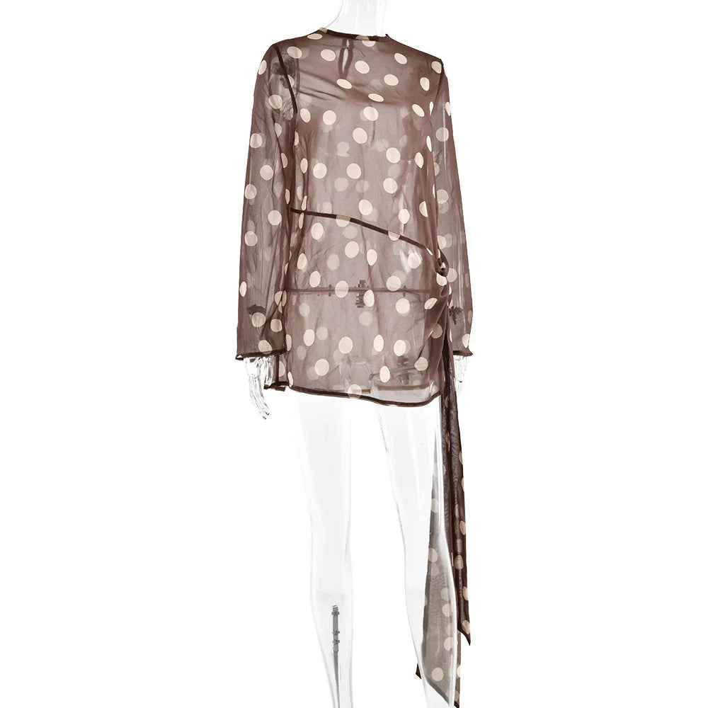 Long Sleeve Chiffon Ribbon Mesh Mini Dress