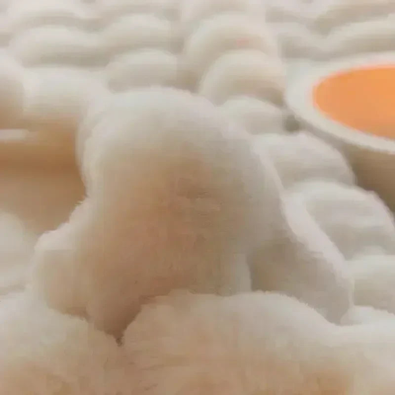 Tuscan Imitation Fur Blanket for Winter Luxury Warmth Super Comfortable Blankets for Beds High-end Warm Winter Blanket for Sofa