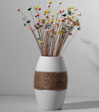 Ceramic Vase Decoration Home Furnishings