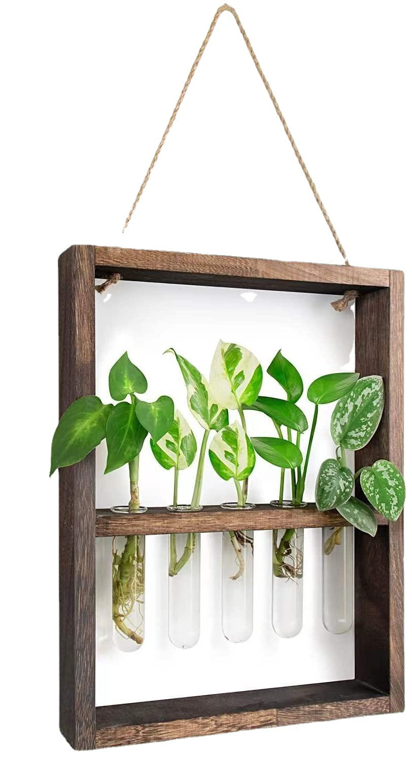 Wall Hanging Plant Test Tube Glass Ornaments