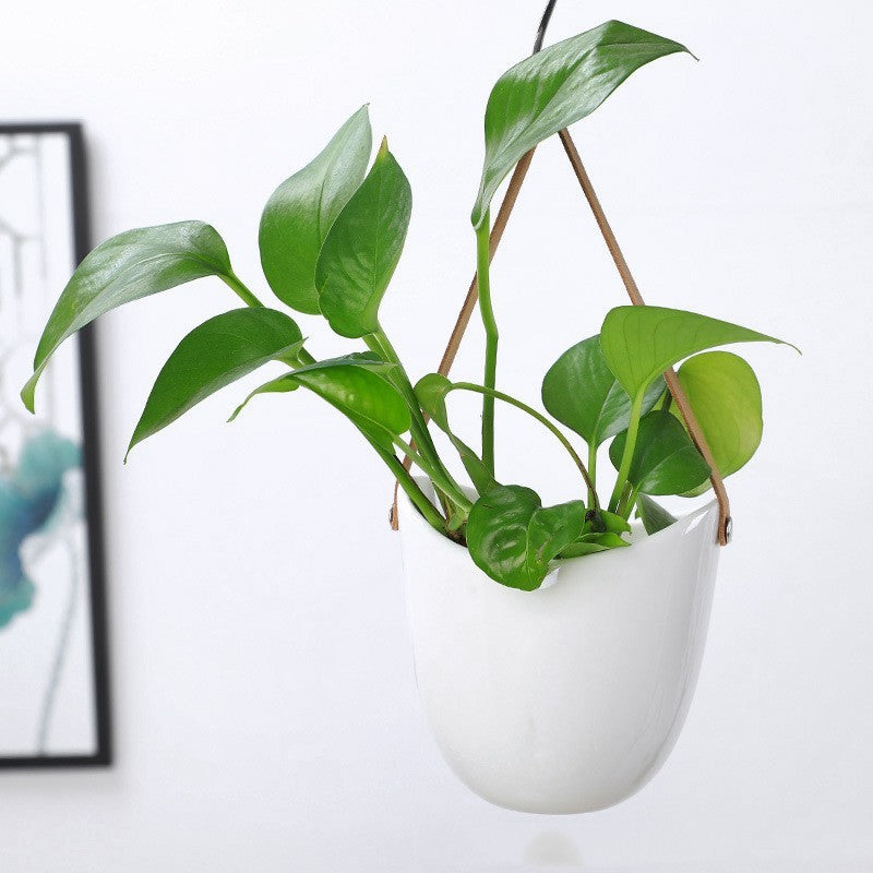 White Ceramic Flowerpot Hanging Household