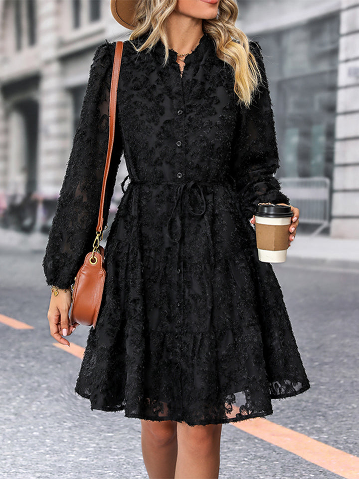 Little Black V-Neck Long Sleeve Buttoned Dress