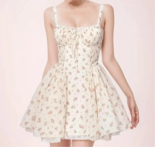 Floral Print Bow Ruched Mini Dress