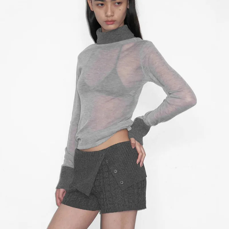 Turtleneck See Through Long Sleeve Top