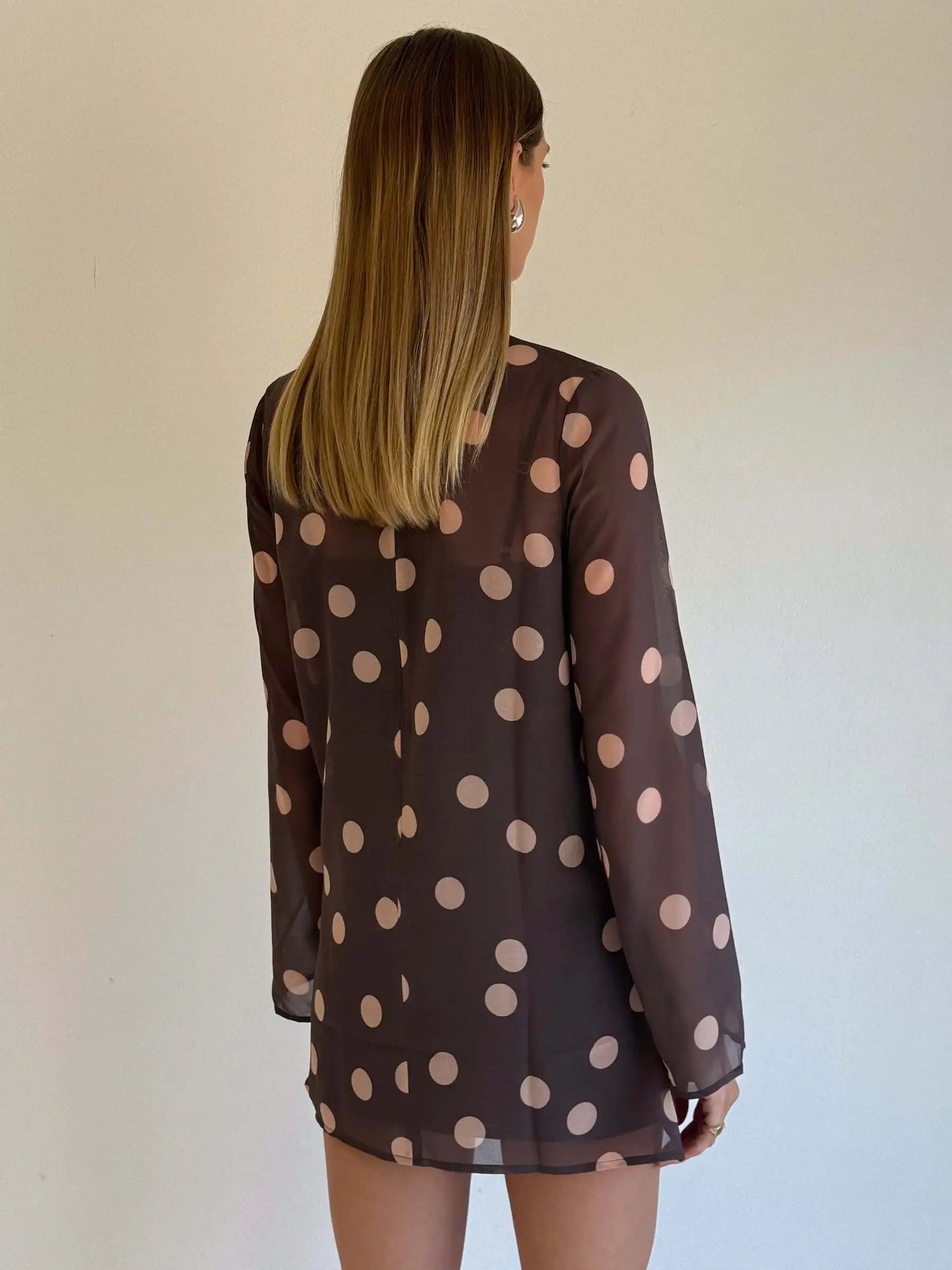 Long Sleeve Chiffon Ribbon Mesh Mini Dress