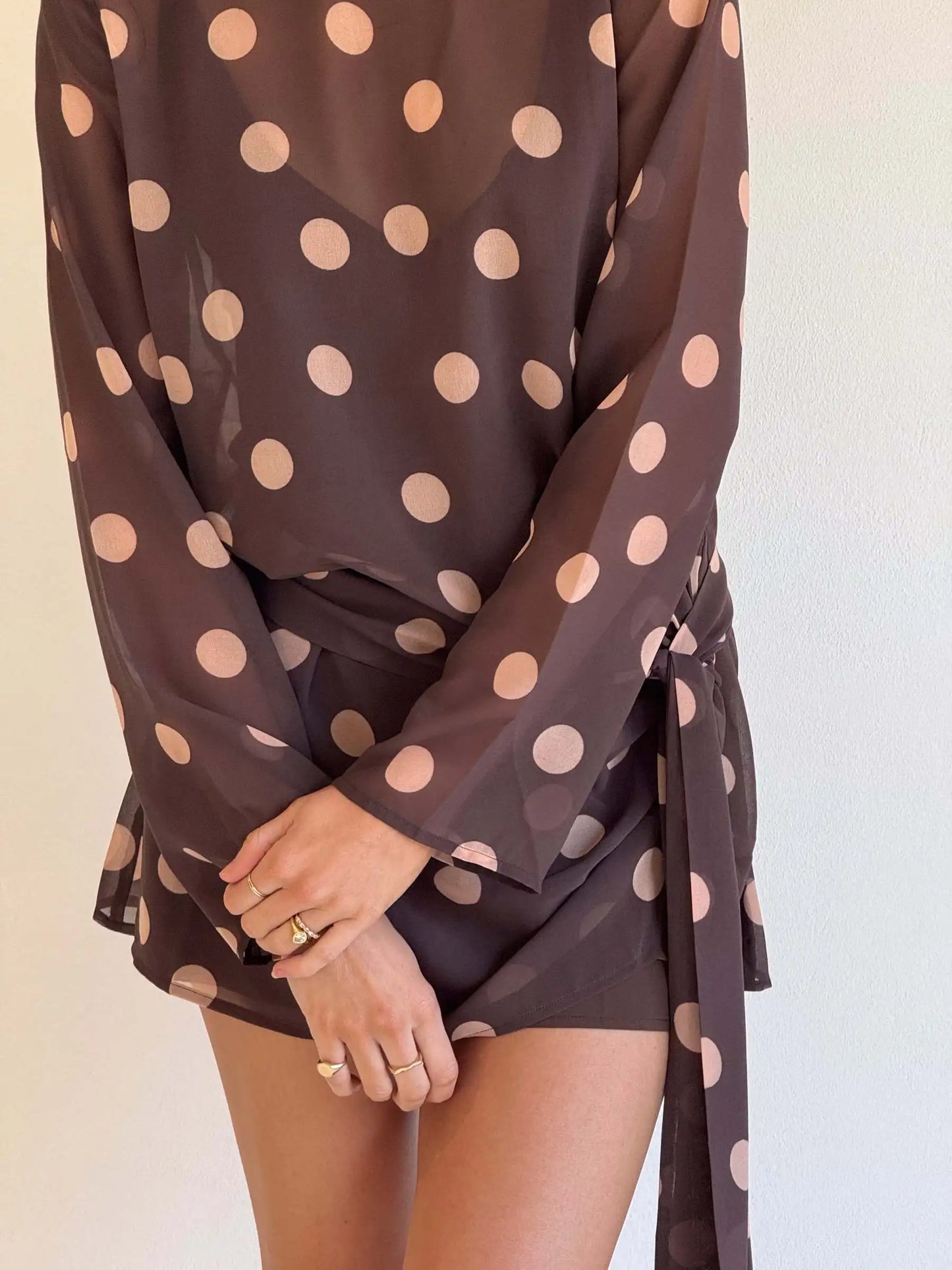 Long Sleeve Chiffon Ribbon Mesh Mini Dress