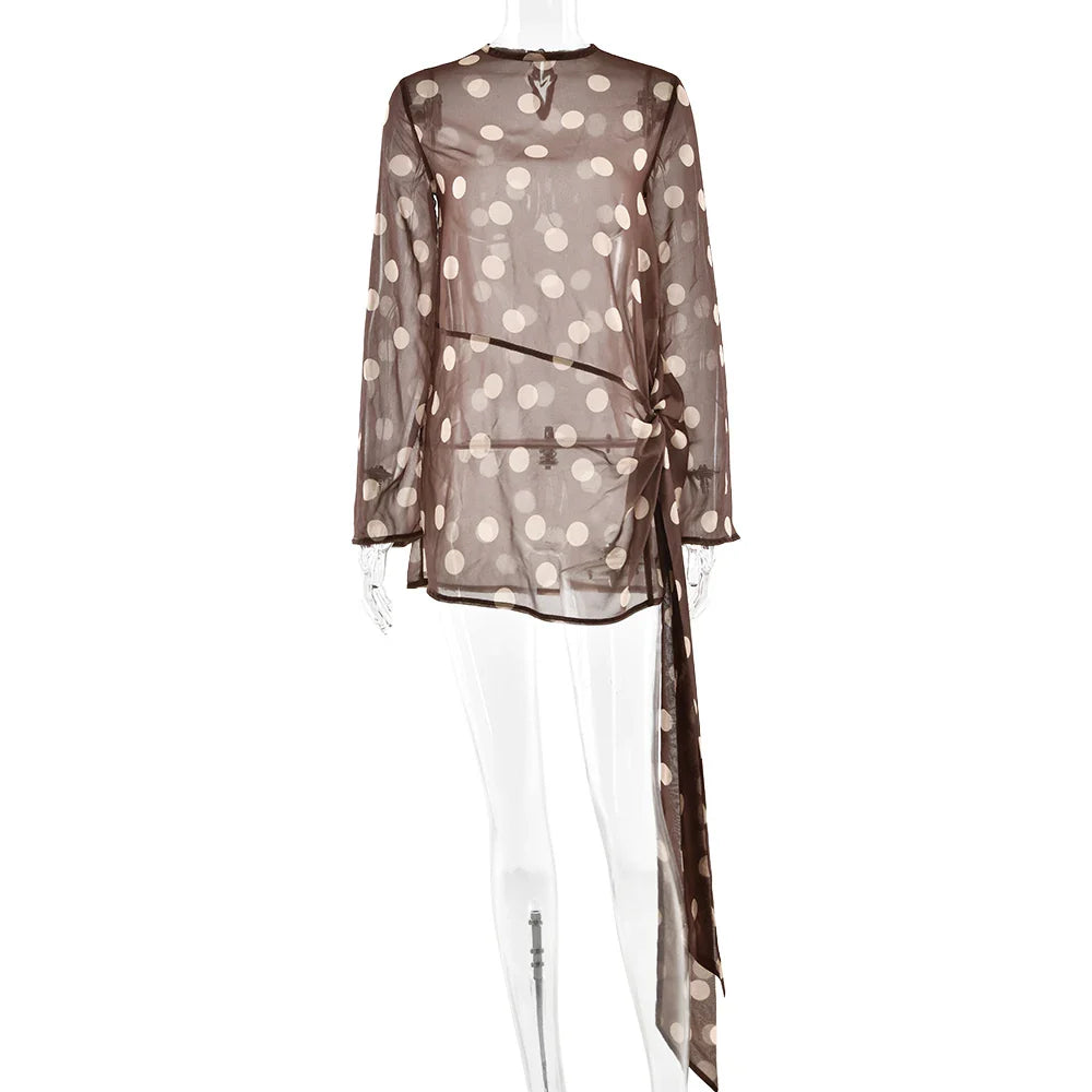 Long Sleeve Chiffon Ribbon Mesh Mini Dress