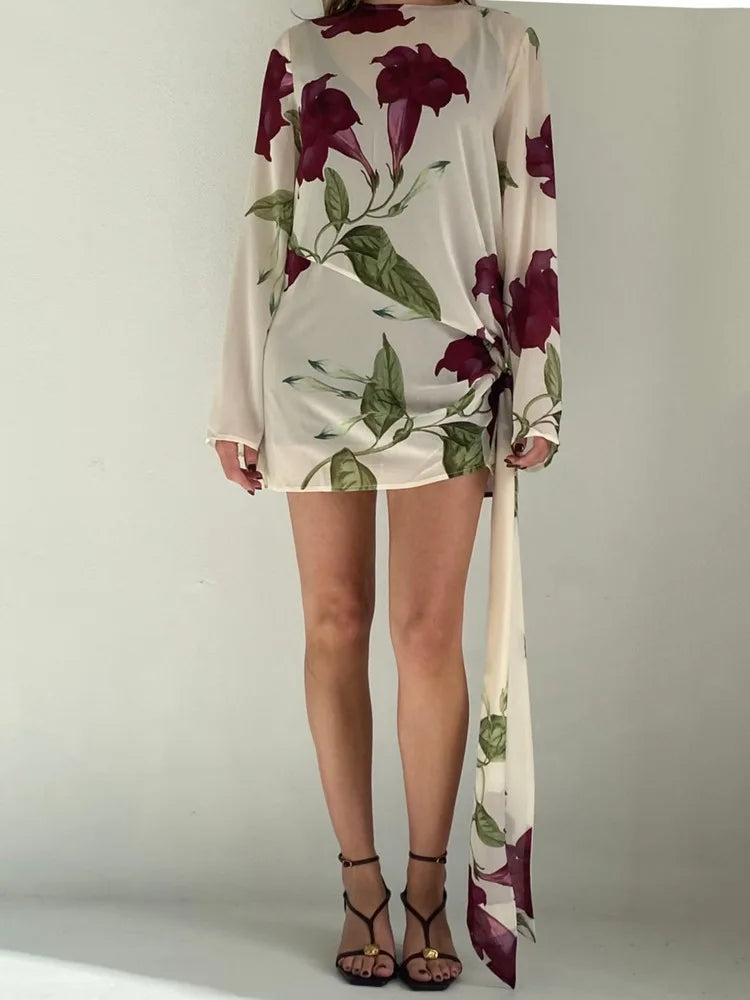 Long Sleeve Chiffon Ribbon Mesh Mini Dress