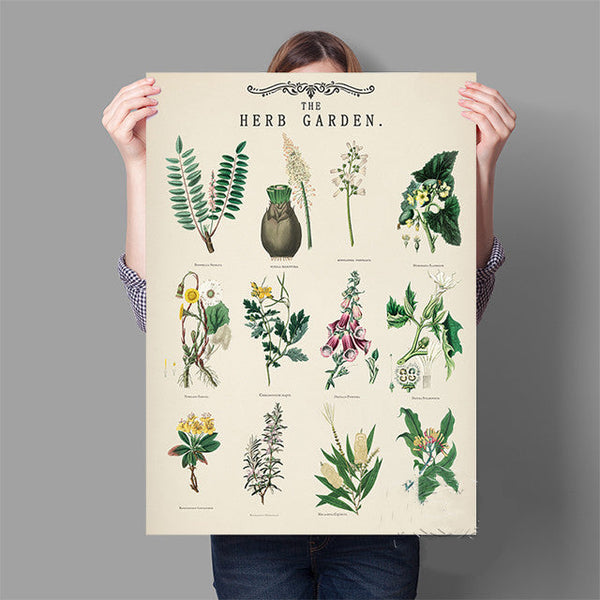 Vintage Herb Garden Botanical Education Poster Wall Art Print – Ioaao