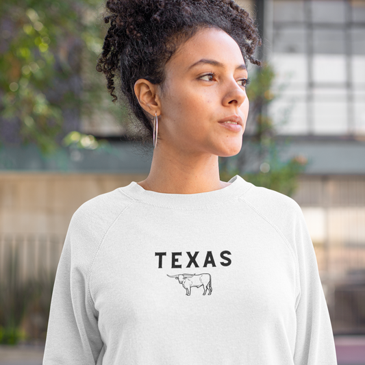 Texas Embroidered Sweatshirt, College, Sweatshirt Crewneck embroider University, Houston, Texas, Embroidery, Trendy, Aesthetic, Dallas, Gift